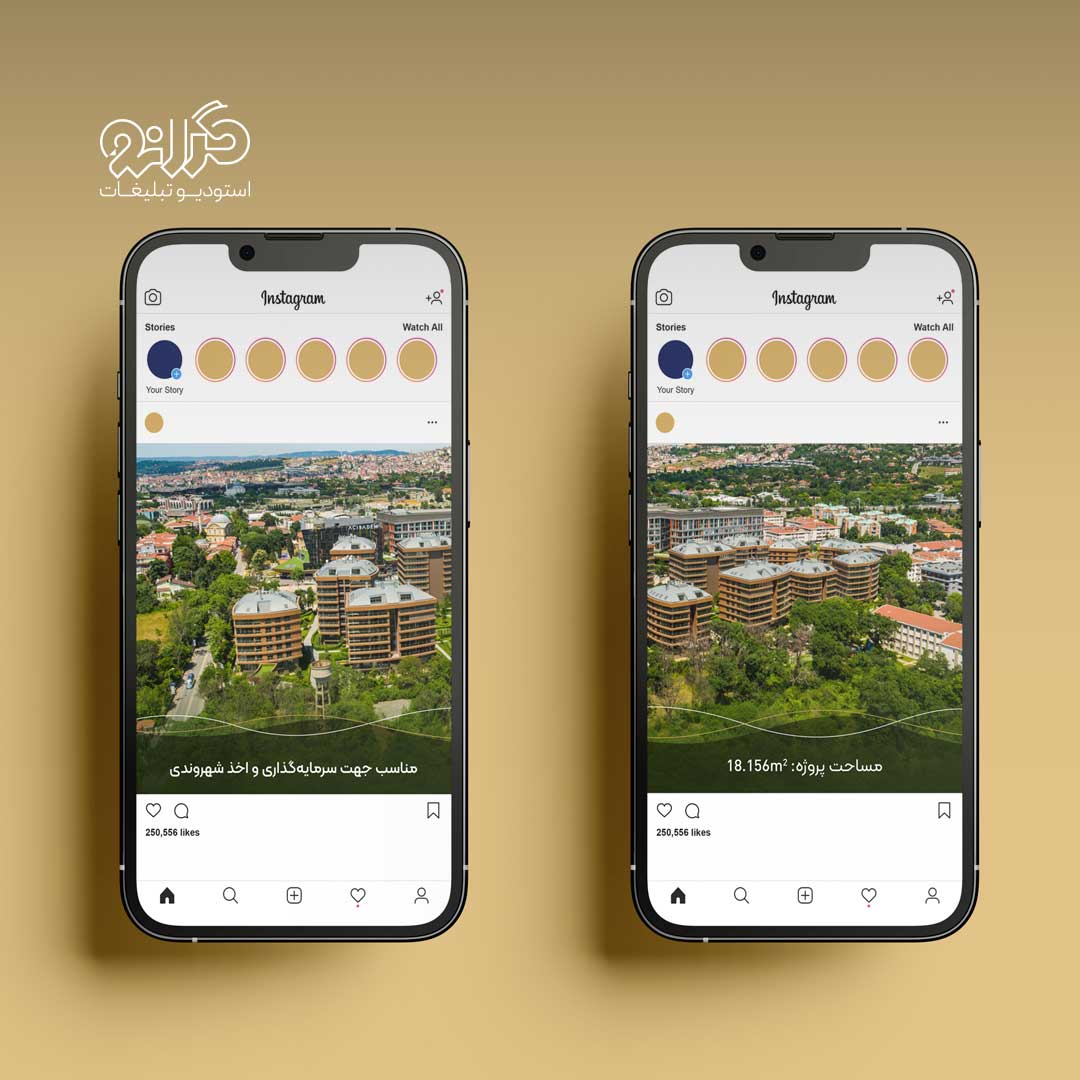 پست اینستاگرامی معرفی پروژه رونیکا توسط گلدن کینگ | طراحی شده توسط تیم گرانو